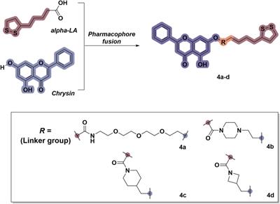 Synthesis and biological evaluation of chrysin derivatives containing α-lipoic acid for the treatment of inflammatory bowel disease